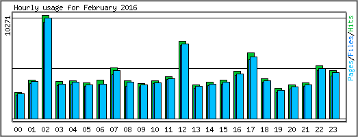 Hourly usage