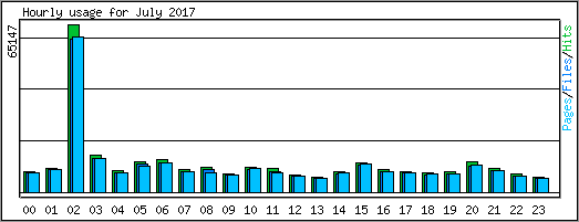 Hourly usage