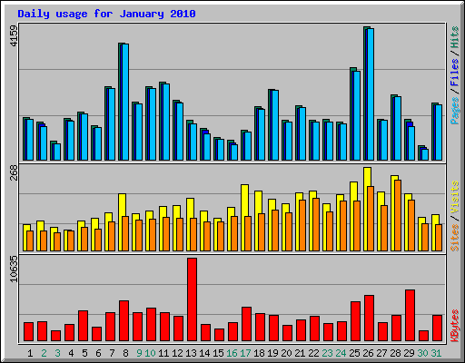Daily usage for January 2010