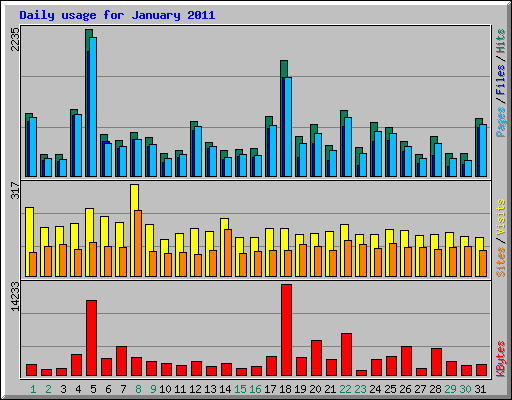 Daily usage for January 2011