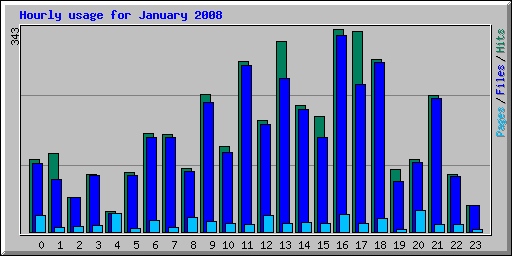 Hourly usage for January 2008