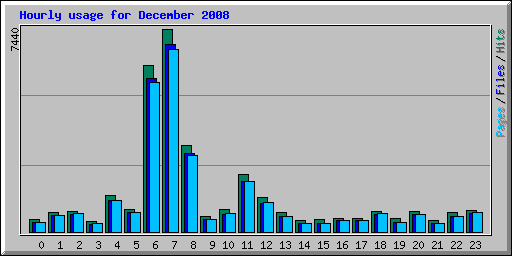 Hourly usage for December 2008