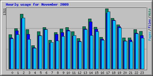 Hourly usage for November 2009