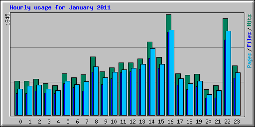Hourly usage for January 2011
