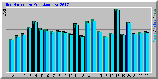 Hourly usage for January 2017