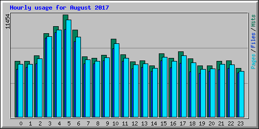 Hourly usage for August 2017